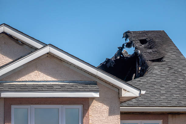 Top rated local Fire Damage Removal specialists in Bock, MN